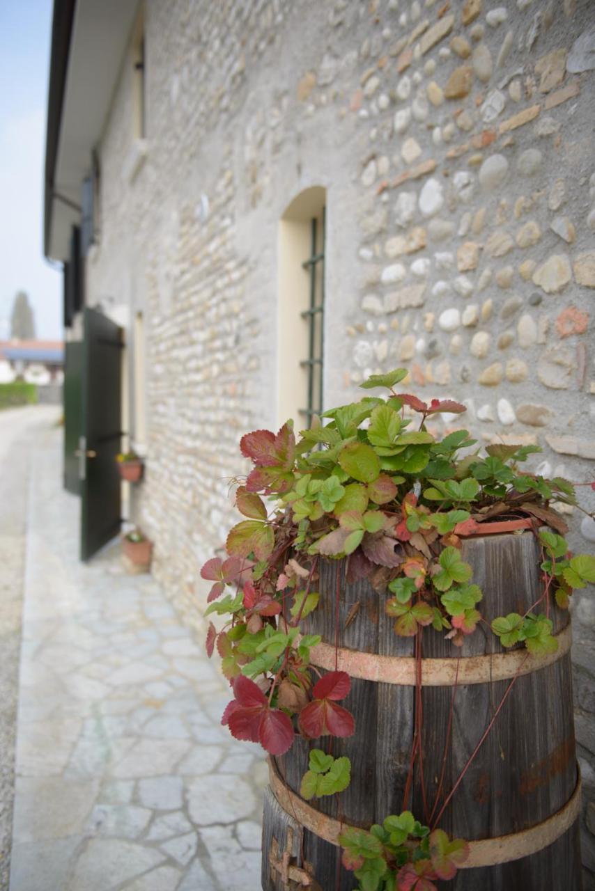Villa Ca' Premuda Locazione Turistica Codognè Esterno foto